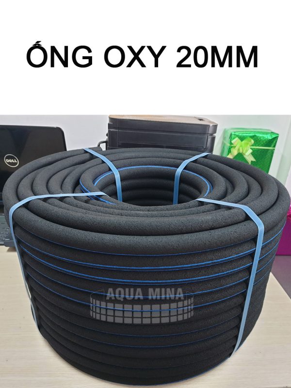 Ong Oxy 20