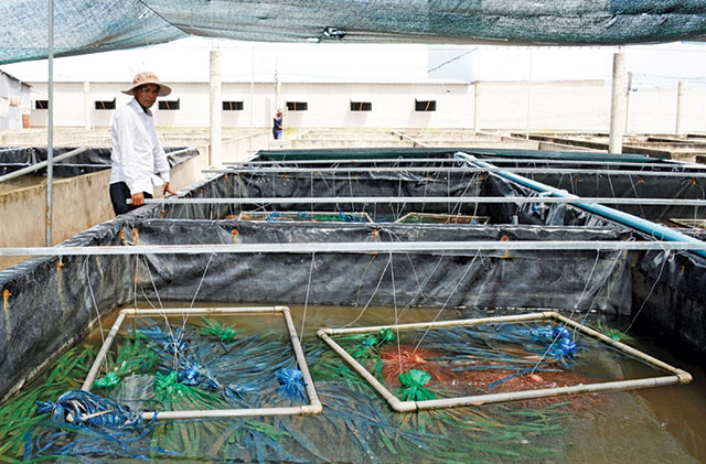 Nuoi Luon Tuan Hoan Nuoc