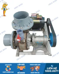 Máy bơm Inox 304 luppe 114