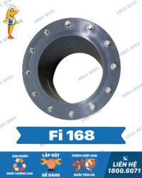 Mặt bích kép Fi 168