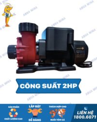 Máy Bơm Nước Biển STP 2000 Bảo Hành Chính Hãng