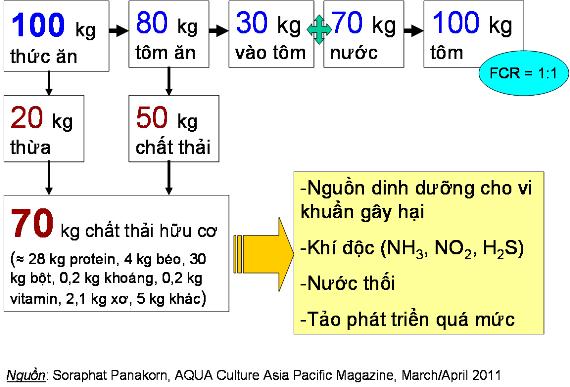 CHIA SẺ CÁCH CHO TÔM ĂN HIỆU QUẢ NHẤT