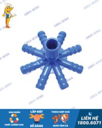 Chia hoa mai 8 cánh