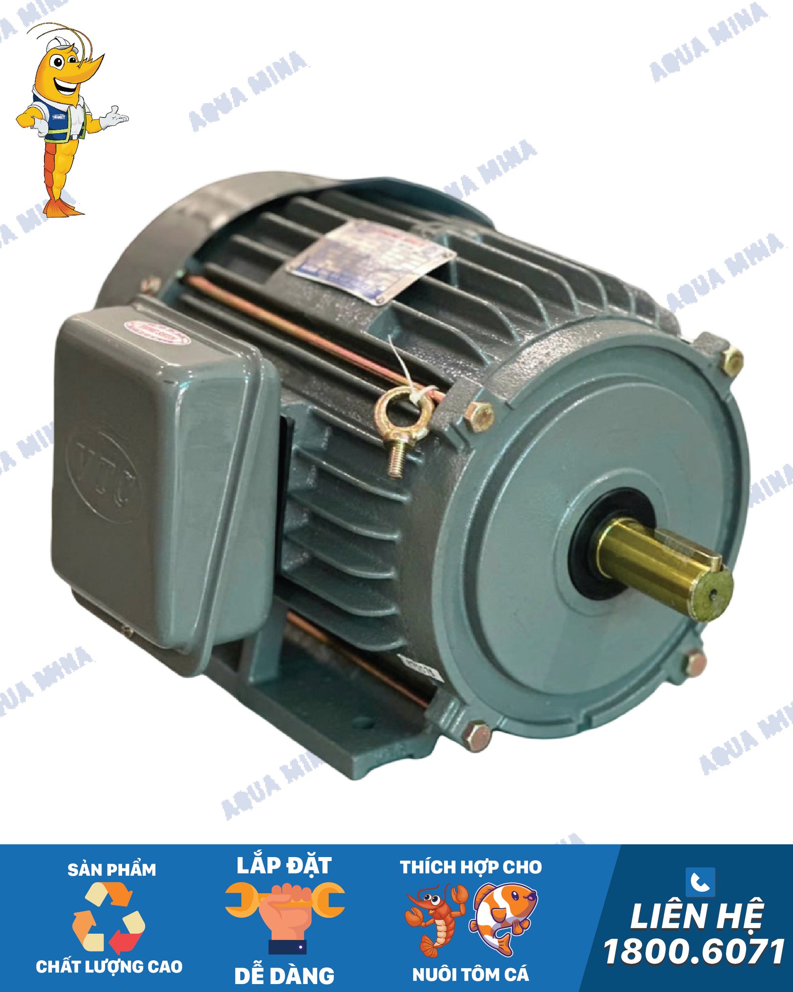 motor-VTC-aquamina motor-VTC-aquamina